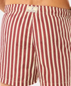 Alternative view of Boxer Mare Alassio Riga Rossa